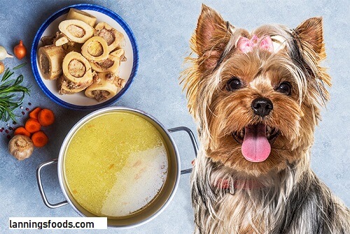 Bone Broth Recipe For Dogs