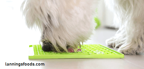 Lick Mat Recipes for Dogs 