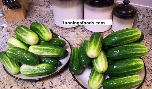 Annies Recipes Sweet Amish Pickles