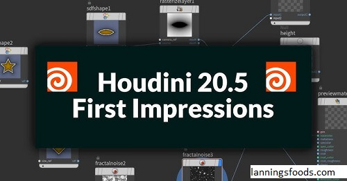 Houdini 20.5 Recipes Share Download