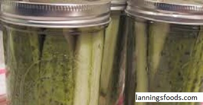 Fanny Farmer Dill Pickles Recipe