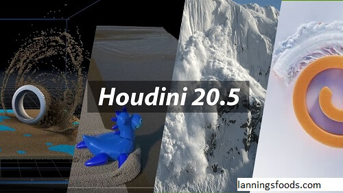 Houdini 20.5 Recipes Share Download